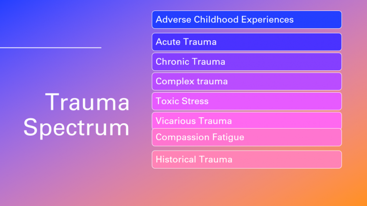 Trauma Spectrum TimeLine South 2020: Wellness Corner - TimeLine Theatre